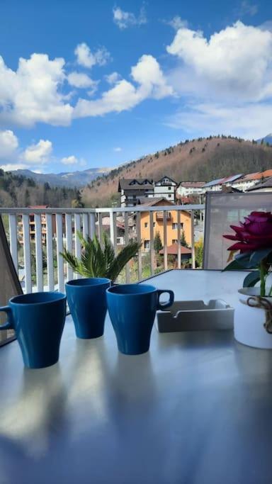 Apartament Erika Premium Sinaia Esterno foto
